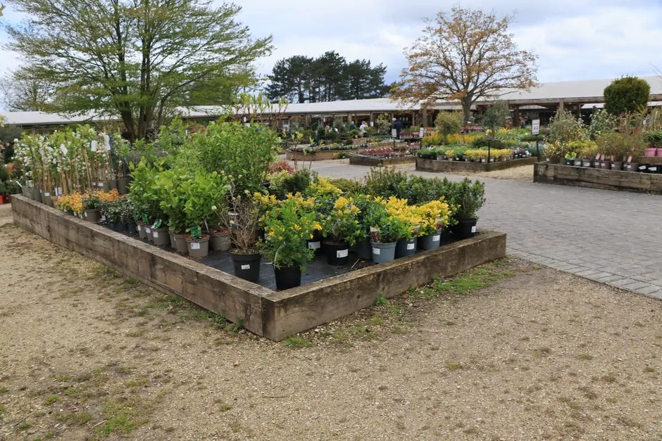 Jardin amenage et entretenu — Montauban